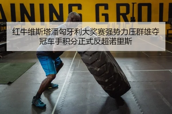 红牛维斯塔潘匈牙利大奖赛强势力压群雄夺冠车手积分正式反超诺里斯